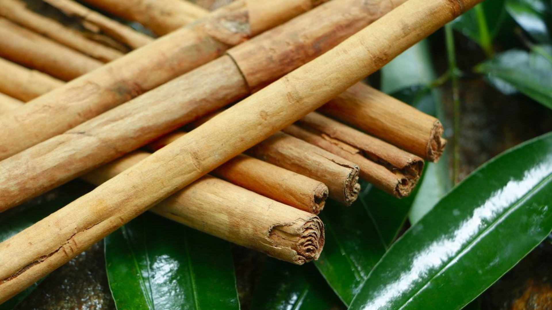 Cinnamon Health Benefits